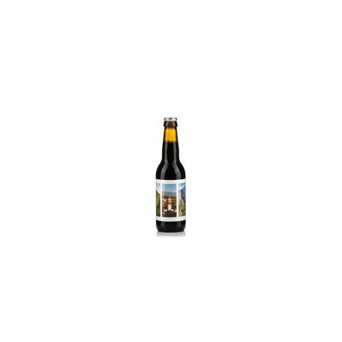 Indian Baltic Porter collab Dalons 330ml